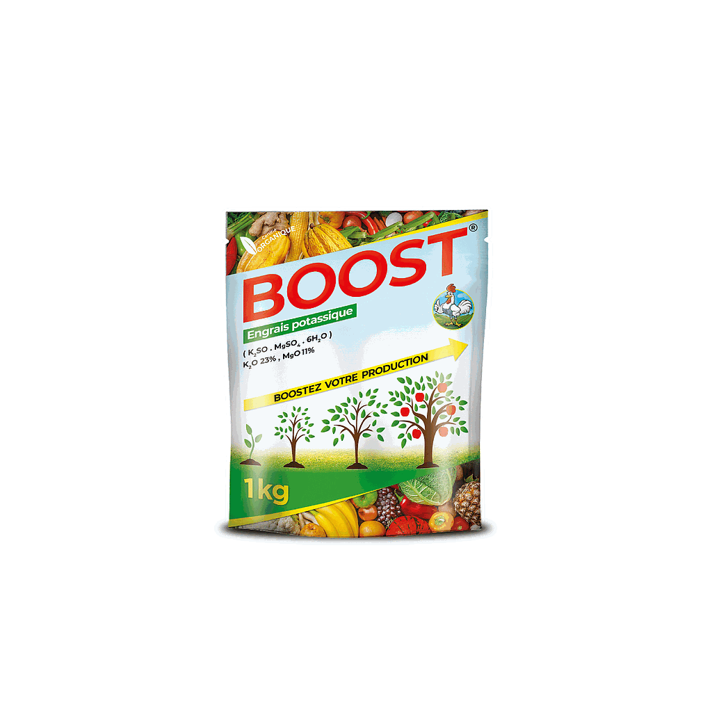 BOOST - 1KG